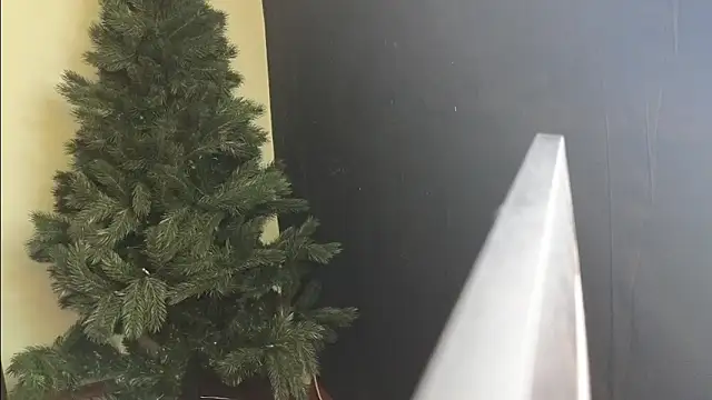 Maya Mayflower online show from March 4, 2025, 12:12 pm