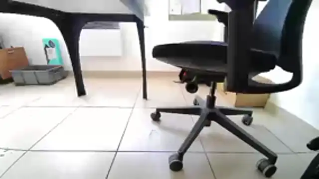 GM51-1988 online show from April 20, 2026, 4:10 pm