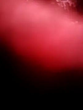 punam259 online show from December 4, 2025, 2:32 am