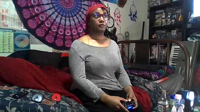 GardeniaFields online show from November 13, 2025, 6:34 am