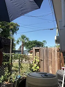 Snapshot of anthonyroth chatting on March 21, 2025, 5:56 pm anthonyroth online show from March 21, 2025, 5:56 pm