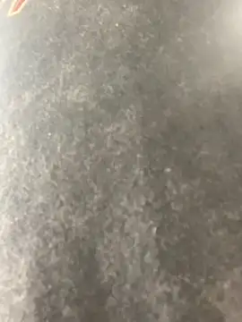 Snapshot of anthonyroth chatting on November 6, 2025, 8:54 pm anthonyroth online show from November 6, 2025, 8:54 pm