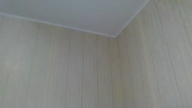  Black-Panther  online show from October 5, 2025, 12:03 pm