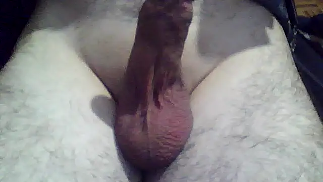 Snapshot of soyorkarxx chatting on December 18, 2025, 11:44 pm soyorkarxx online show from December 18, 2025, 11:44 pm