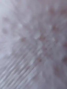 So8nan online show from September 21, 2025, 1:02 pm