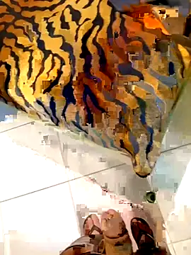 Snapshot of Dglo0000 chatting on February 28, 2026, 4:46 am Dglo0000 online show from February 28, 2026, 4:46 am