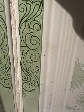 dilu98 online show from March 18, 2025, 1:42 pm