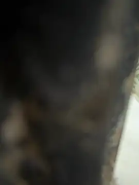 dilu98 online show from February 21, 2026, 2:01 am