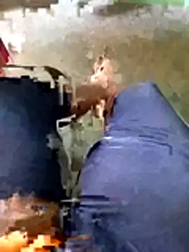 A-1PLAYBOY0 online show from April 28, 2026, 6:07 am