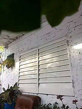 Tiococo420 online show from December 5, 2025, 10:35 am