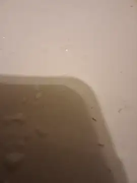 moasslicker online show from October 21, 2025, 4:46 am