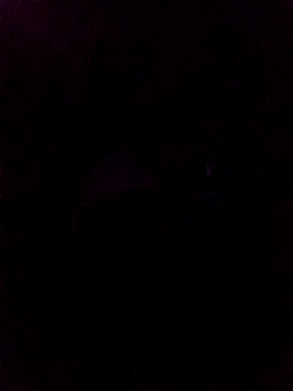 WALESKABBW ASS online show from April 24, 2026, 11:23 am