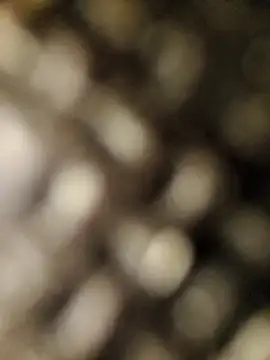 geilerschwanz556r7 online show from September 30, 2025, 8:52 am