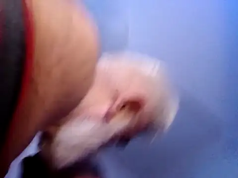 Snapshot of CloudyMuscleBeefy chatting on November 26, 2025, 5:58 pm CloudyMuscleBeefy online show from November 26, 2025, 5:58 pm