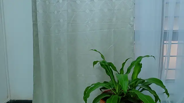 EbonyHorrny online show from September 15, 2025, 12:16 pm