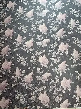 Dari Toy  online show from November 7, 2025, 1:38 am