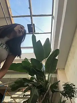 Ninazhang online show from November 11, 2025, 1:38 am