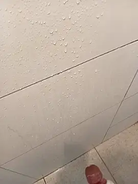 Luan 11839 online show from December 13, 2025, 8:04 pm