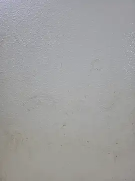 Snapshot of titooritax chatting on October 16, 2025, 9:49 pm titooritax online show from October 16, 2025, 9:49 pm