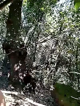 KalendaXL online show from April 20, 2026, 11:57 am