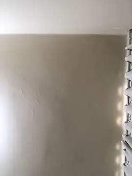 MusaAyla online show from February 8, 2026, 5:05 pm