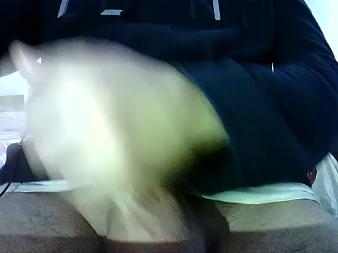 photo3995 online show from January 12, 2026, 9:47 am