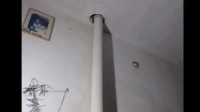 BebaFoxx online show from March 3, 2026, 8:20 am