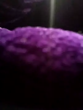 saneer69tew online show from April 11, 2026, 4:39 am