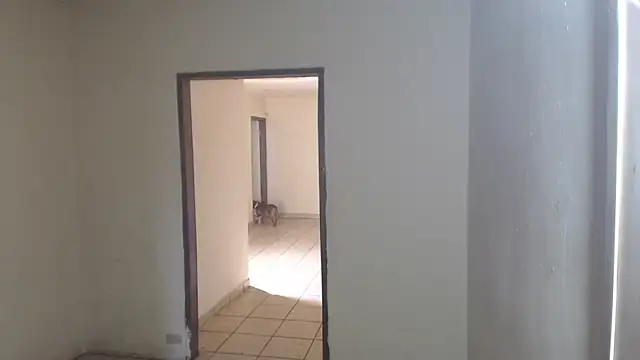 BlondZilla online show from April 3, 2026, 5:11 pm