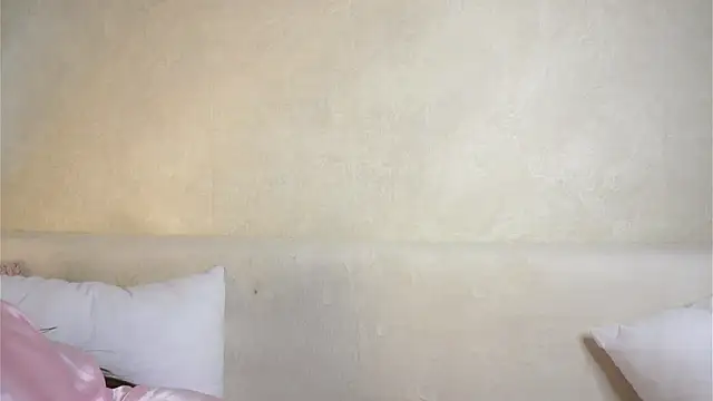 WiloneBoardley online show from April 21, 2026, 2:51 am