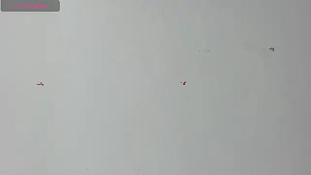 Lady miss    online show from April 18, 2026, 12:20 pm