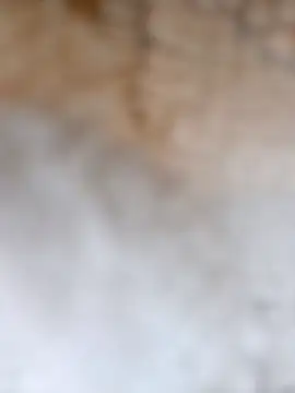 Snapshot of Radsj@xh chatting on December 17, 2025, 7:42 pm Radsjxh online show from December 17, 2025, 7:42 pm