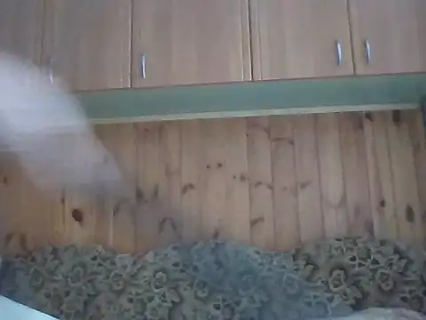 Maksymilian1 online show from February 22, 2026, 9:41 am