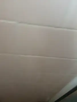 Guero661 online show from September 22, 2025, 5:04 pm