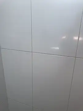 Brinquedo-da-zoe online show from March 15, 2026, 7:20 pm