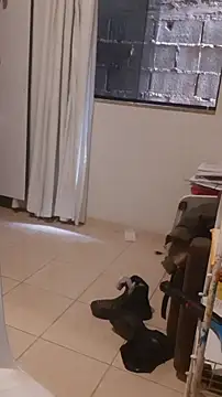 Urso Nerd online show from April 24, 2026, 3:25 pm