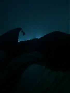 bjarson123 online show from February 11, 2026, 10:53 am