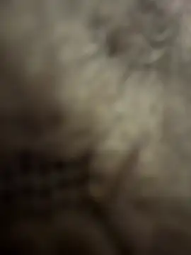 anonimgirl18old online show from February 3, 2026, 8:58 pm