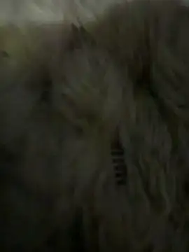 anonimgirl18old online show from March 6, 2026, 5:09 pm