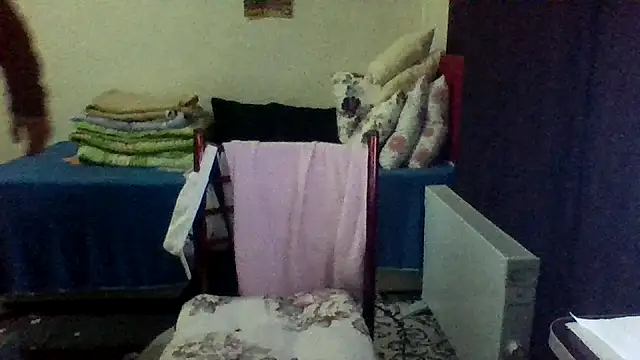 st206boy online show from January 16, 2026, 12:25 am