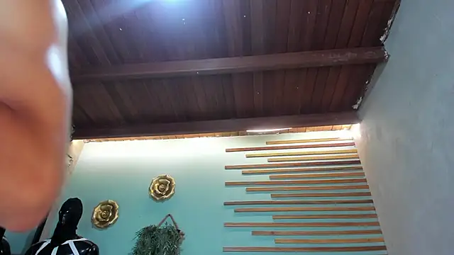 jharol cardonaa online show from November 26, 2025, 1:28 am