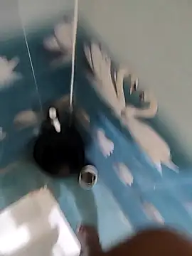 Telugu person12 online show from November 12, 2025, 4:51 pm