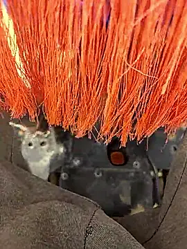 Snapshot of Telugu_person12 chatting on January 12, 2026, 7:57 am Telugu person12 online show from January 12, 2026, 7:57 am