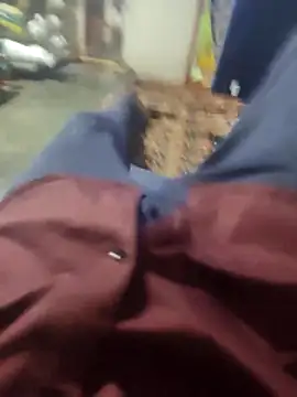 Snapshot of Telugu_person12 chatting on March 16, 2026, 3:38 pm Telugu person12 online show from March 16, 2026, 3:38 pm