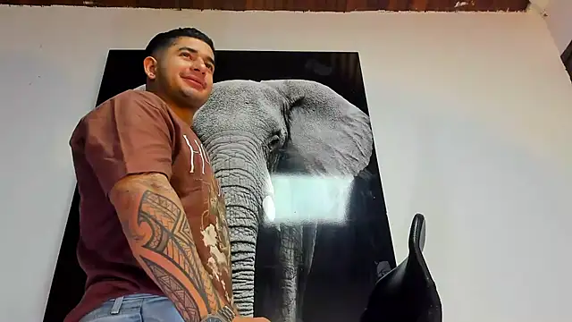 king falconer online show from October 29, 2025, 2:47 am