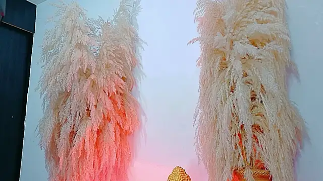 Snapshot of JulietaDavis chatting on February 4, 2026, 9:37 am JulietaDavis online show from February 4, 2026, 9:37 am