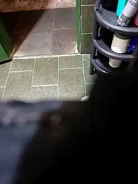 Alex Docinho online show from November 26, 2025, 9:05 pm