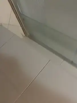 Snapshot of Mbidee chatting on March 8, 2026, 5:28 pm Mbidee online show from March 8, 2026, 5:28 pm