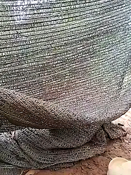 Tina 2pp online show from November 5, 2025, 11:27 pm