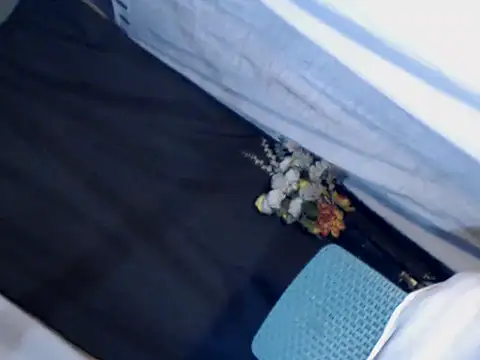 Snapshot of xyourdreamtrans chatting on September 24, 2025, 9:34 am xyourdreamtrans online show from September 24, 2025, 9:34 am